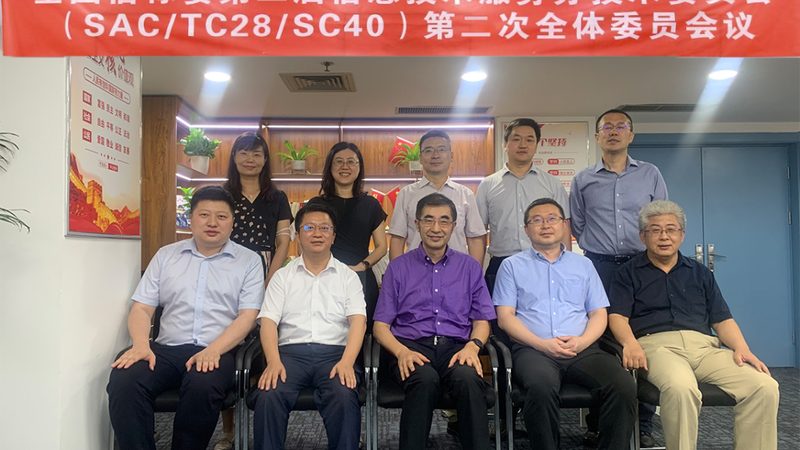 IT外包驻场服务：如何规避潜在风险，确保项目稳定交付**