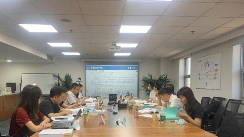 IT咨询项目报价：揭秘背后的标准与考量